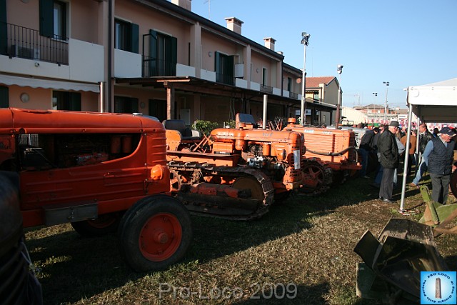 In prà della Antica Fiera di Arsego (26).JPG